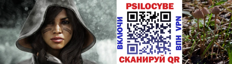 Купить  Ростов  Галлюциногенные грибы прущие грибы 